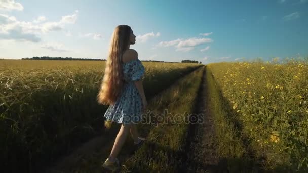 Een vrouw in een jurk is wandelen langs een landweg in een tarweveld — Stockvideo