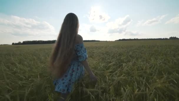 Menina em um belo vestido vai para o campo de trigo em um dia de verão, à noite. Mãos a tocar em espiguetas de trigo. Céu azul sem nuvens sobre o campo . — Vídeo de Stock