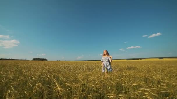 Vacker flicka poserar på solbelysta vetefält. Frihet-konceptet. Lycklig kvinna ha kul utomhus i en veteåker på solnedgång eller soluppgång. — Stockvideo