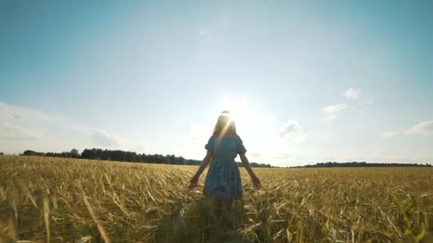 Beauty Girl Al aire libre disfrutando de la naturaleza. Hermosa chica modelo adolescente en vestido corriendo en el campo de primavera, levantando las manos en la luz del sol . — Vídeo de stock