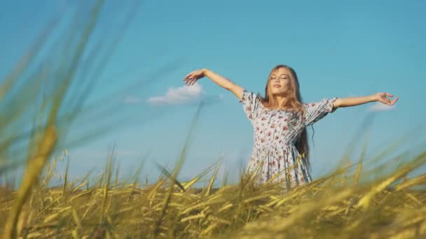 Портрет молодой женщины с длинными волосами в платье, стоящей на пшеничном поле и смотрящей в камеру — стоковое видео