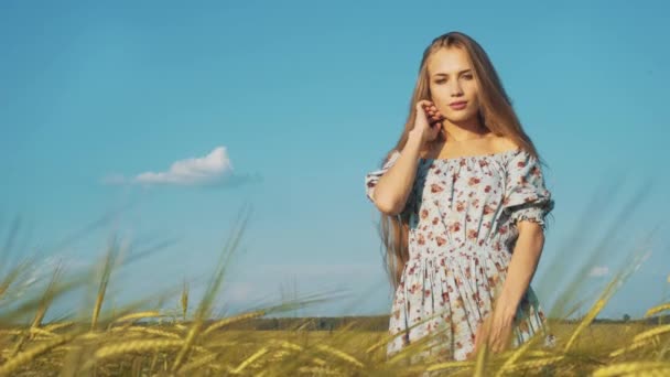 Портрет молодої жінки з довгим волоссям у сукні, що стоїть на пшеничному полі і дивиться на камеру — стокове відео