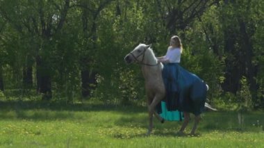 Beyaz aygır eyer ve padok içinde arka ayakları üzerinde duran at başlığı. At bir numara komando üzerinde gerçekleştirir.