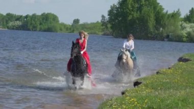 Gün batımında sahilde sürme atlar