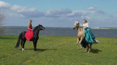 Çiçekli bir alanda bir binicilik güzel ve genç birbayan. Arka ayakları üzerinde at standları