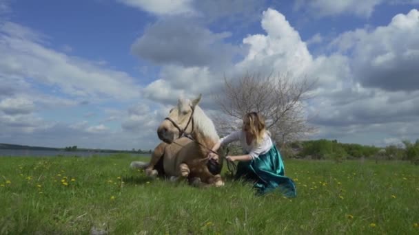 Een paard dawn opleggen een veld. — Stockvideo