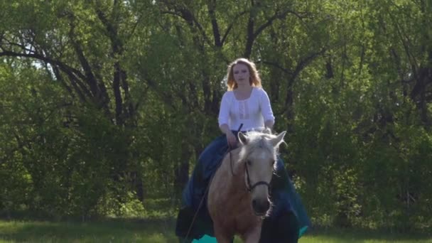 Una chica con el pelo largo, montando un caballo en un vestido largo verde y azul histórico, mirando a la cámara, el caballo está de pie, agitando la cabeza. Al atardecer al atardecer contra el cielo — Vídeos de Stock