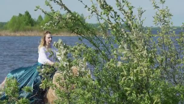 Cheval gris saute dans l'eau avec la femme au ralenti . — Video