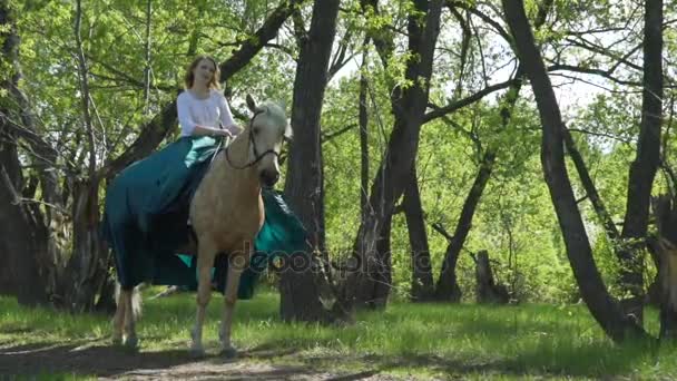 Jovem bela mulher cavaleiro montando um cavalo branco no campo — Vídeo de Stock