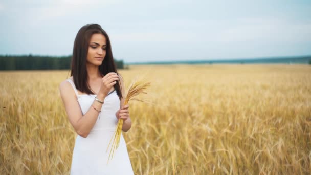 La donna in una camicia bianca nazionale tiene in mano le spighe di grano maturate su uno sfondo di campo d'oro. raccolto, agricoltura, agronomia, alimentazione, produzione, ecoconcetto . — Video Stock