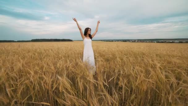Mutluluk, doğa, yaz tatili, tatil ve insanlar kavramı - tahıl alanı yürüyüş beyaz elbiseli genç kadın — Stok video