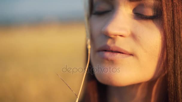 日光夏の夕方畑に夕日官能的な肖像画でコムギと美しい女性。大気の瞬間。地球の日。スタイリッシュな自由奔放に生きる少女が草原でリラックス。土地への愛 — ストック動画