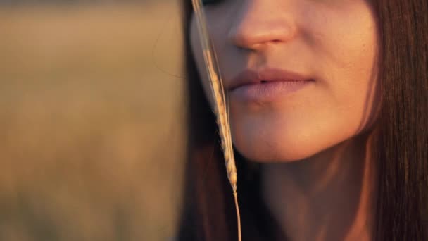 Mooie vrouw met oor tarwe in zonlicht zonsondergang sensuele portret in de zomer 's avonds veld. atmosferische moment. de dag van de aarde. stijlvolle boho meisje ontspannen in de weide. liefde op het land — Stockvideo