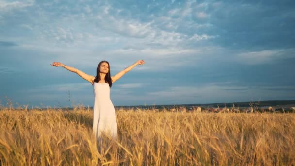 一个年轻的姑娘站在金色的田野的小麦在日落时分和引发他举起手来，慢动作 — 图库视频影像