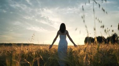 genç bir kız altın buğday tarlasında günbatımında duruyor ve onun ellerini, ağır çekim yükseltir