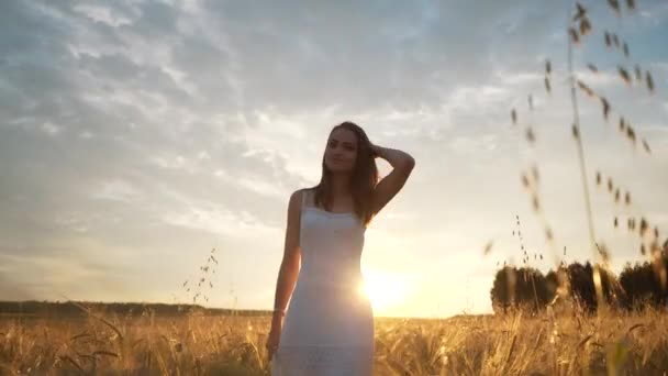 Ένα νεαρό κορίτσι στέκεται σε ένα χρυσό πεδίο σιτάρι στο ηλιοβασίλεμα και θέτει τα χέρια του επάνω, αργή κίνηση — Αρχείο Βίντεο