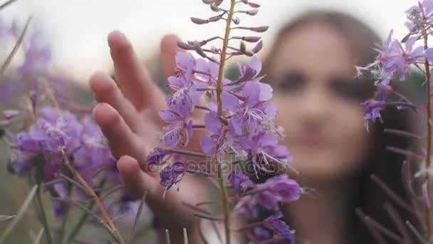 Gelukkig jong meisje glimlachend, hand in hand in lavendel. Zachte focus, close-up — Stockvideo