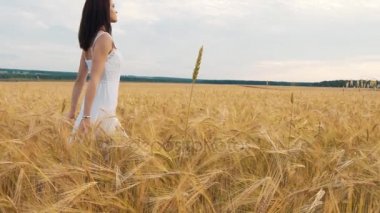 genç bir kız altın buğday tarlasında günbatımında duruyor ve onun ellerini, ağır çekim yükseltir