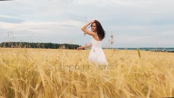 Красуня брюнетка дівчина зі здоровим довгим волоссям обертається і сміється на відкритому повітрі на полі золотої пшениці. Насолоджуючись природою. Молода жінка в одязі розважається на відкритому повітрі. Захід сонця . — стокове відео