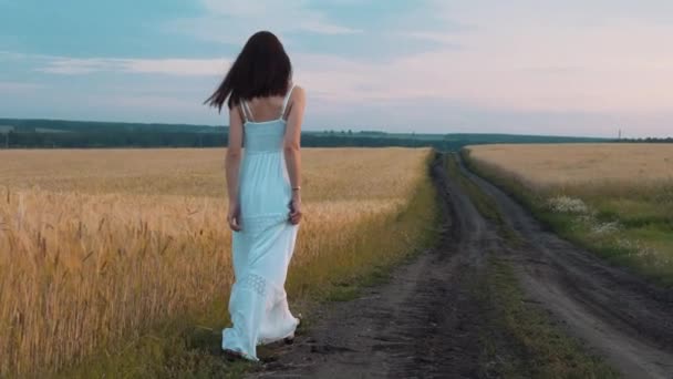 Женщина гуляет по сельской дороге — стоковое видео