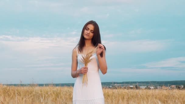 Frau wirft Weizen in die Kamera. romantische Frau zu Fuß in goldenen Gerstenfeldern — Stockvideo