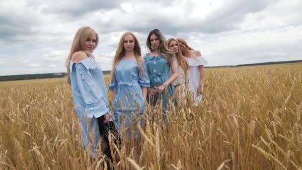 Cinque ragazze con lunghi capelli biondi in un campo di grano dorato. Sorridendo, guardando la macchina fotografica . — Video Stock