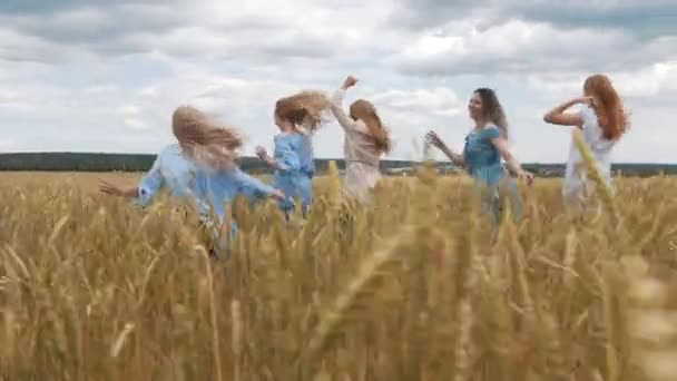 Cinco chicas con el pelo largo y rubio corriendo por el campo de trigo. Cabello hermoso y saludable . — Vídeo de stock