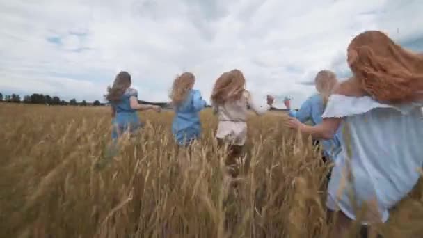 Cinco chicas con el pelo largo y rubio corriendo por el campo de trigo. Cabello hermoso y saludable . — Vídeo de stock