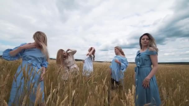 Cinque ragazze con lunghi capelli biondi in un campo di grano dorato. Sorridendo, guardando la macchina fotografica . — Video Stock