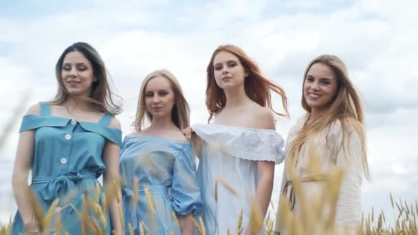Четыре красивые девушки на пшеничном поле смотрят в камеру — стоковое видео