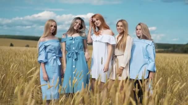 Cinque ragazze con lunghi capelli biondi in un campo di grano dorato. Sorridendo, guardando la macchina fotografica . — Video Stock