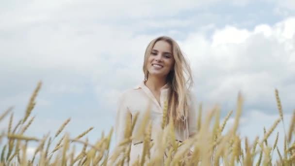 Retrato de una joven sentada en un campo de trigo — Vídeos de Stock