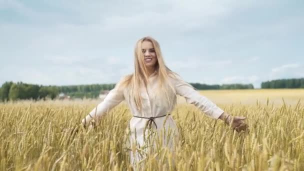 Portret van een jong meisje, zittend in een tarweveld — Stockvideo