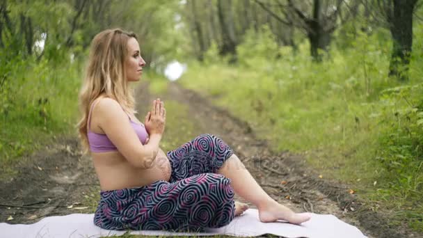 Hermosa mujer embarazada haciendo yoga prenatal en la naturaleza al aire libre. Deporte, fitness, estilo de vida saludable durante el embarazo. Mujer embarazada practicando yoga pose, ejercicio respiratorio, estiramiento en el parque de verano . — Vídeos de Stock