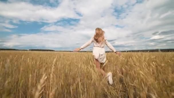 Ganzkörperporträt einer schönen jungen glücklichen Frau in einem weißen Kleid, die durch das Weizenfeld läuft — Stockvideo