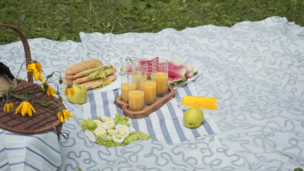 Konzept des Essens im Freien. Picknick im Park. gekochter Mais, Eier, Wassermelone, Saft. — Stockvideo