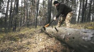 Oduncu ormanda bir balta ile chop ahşap