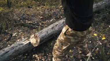 Oduncu ormanda bir balta ile chop ahşap