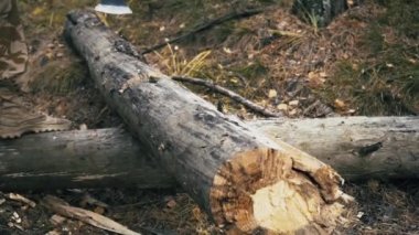 Dinamik balta kesme ahşap