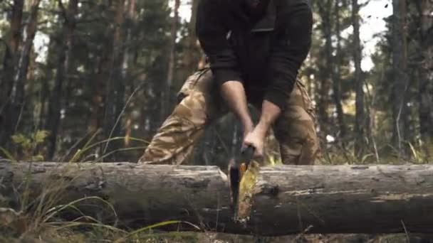 Динамічна сокира для різання деревини — стокове відео