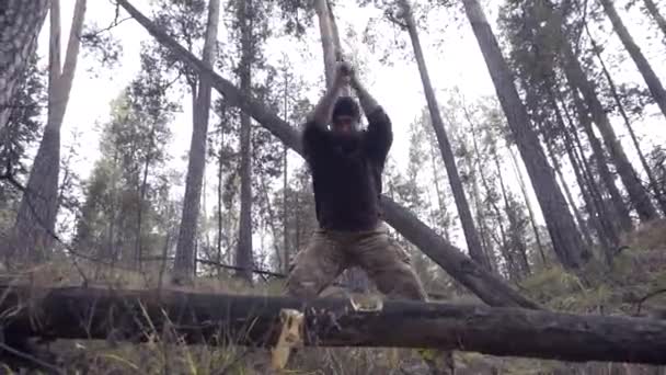 Machado dinâmico corte de madeira — Vídeo de Stock