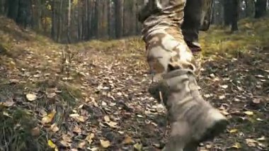 Ağaç aramak için ormana giren çekici bir genç oduncu portresi