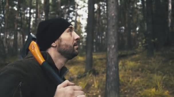 Porträtt av en attraktiv ung skogshuggare som går genom skogen på jakt efter trädet — Stockvideo