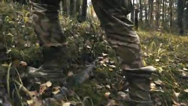 Portrait d'un jeune bûcheron séduisant qui marche dans les bois à la recherche de l'arbre — Video