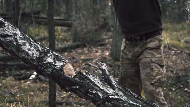 Рубка дерева топором — стоковое видео
