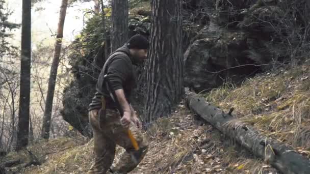 El leñador camina con un hacha en el bosque y elige árboles — Vídeo de stock