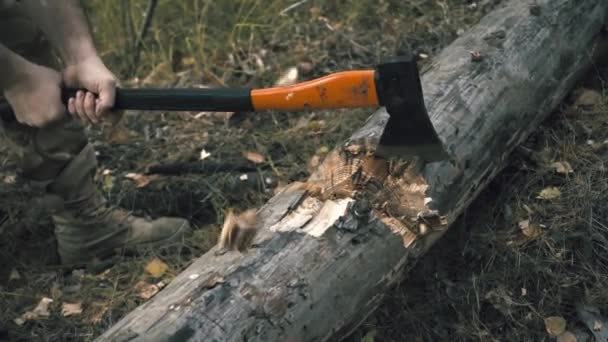 Corte de madeira com um machado — Vídeo de Stock