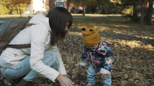 幸せな母と娘秋葉で遊んで、一緒に楽しんで。遊び心のある女の子と彼女の母親が公園で葉を投げた. — ストック動画