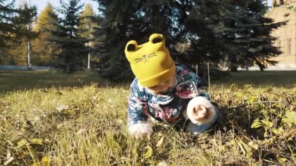 Rozkošná holčička s jeho první kroky v parku na krásné podzimní den — Stock video