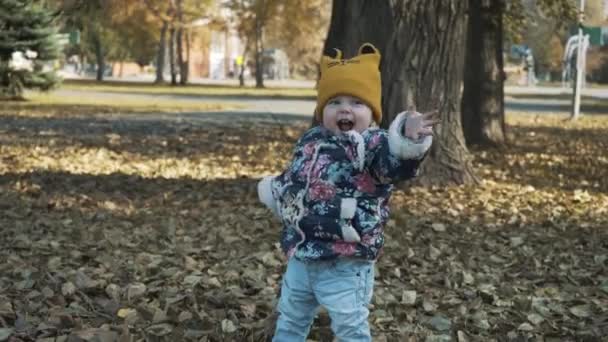 Bebé na floresta. Queda de folhas de outono . — Vídeo de Stock